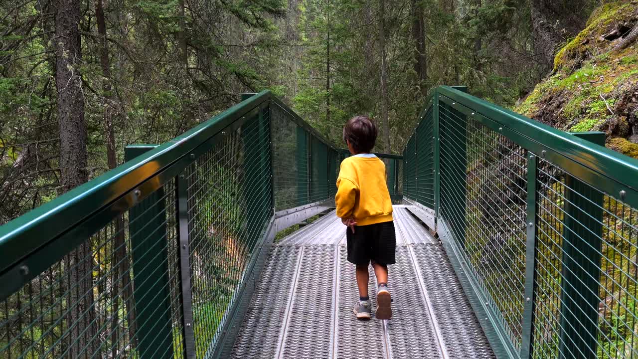 Anak laki-laki di Jembatan di Hutan