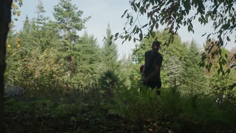 edge of woods being landscaped by worker (slow motion 4k 30p)