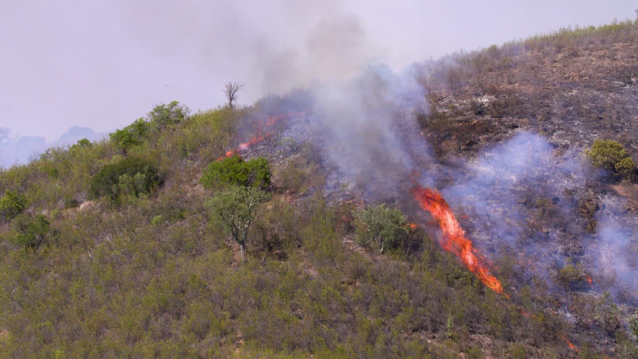 la línea de fuego en una montaña en monchique, portugal