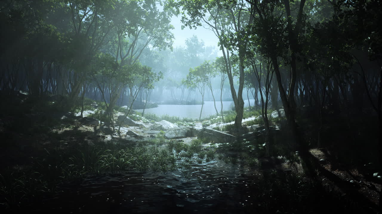 안개 같은 호수 풍경과 새벽에 나무에 빛나는 가을 색상