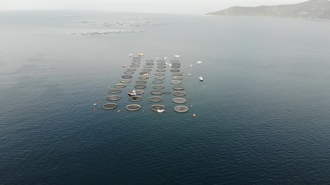 드론으로 바다에서 생선 농장을 볼 수 있습니다.