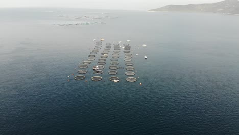 vista de drones de las granjas de peces en el mar