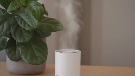 a white humidifier emitting mist next to a green potted plant