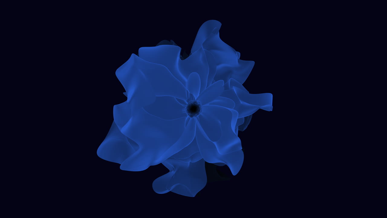 Elegante blaue Blume entfaltet sich auf dunkler Leinwand