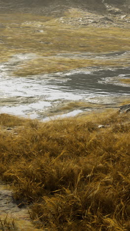 a scenic view of a field of grass with a body of water in the background