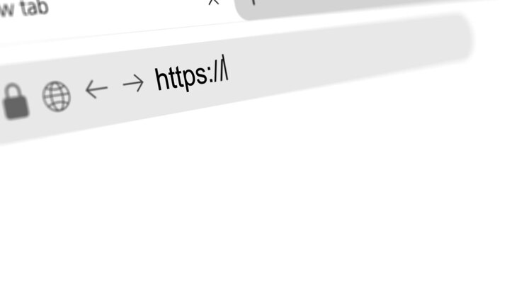 Browser address bar shows https padlock globe on interface secure sites ssl certificates encrypted