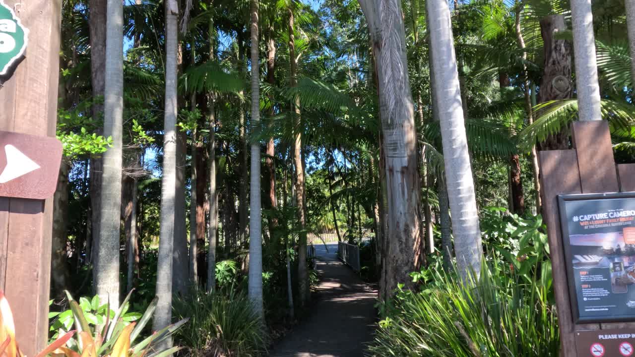 caminando a través de la vegetación exuberante hasta la entrada del zoológico