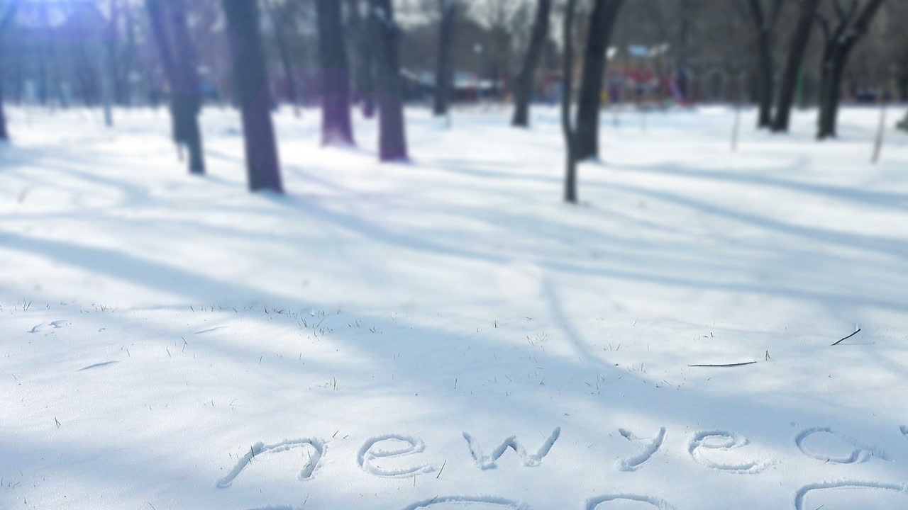 Inscription new year on snow