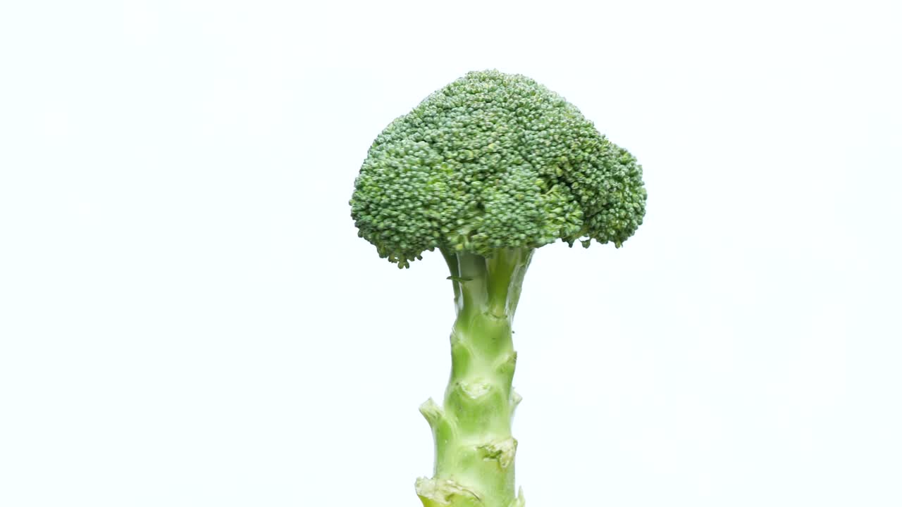 브로콜리가 색 바탕에 변하는 것