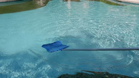 sequence of cleaning a pool with a skimmer net.