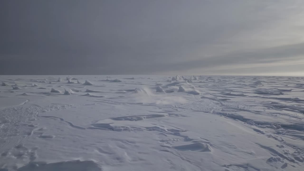 Frozen Snowy Arctic Landscape