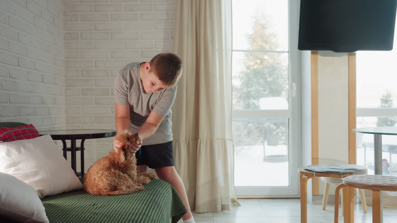 Fat boy playing with his dog in the room, background shows television, cotton curtains, and table, creating a lively and joyful indoor bonding moment
