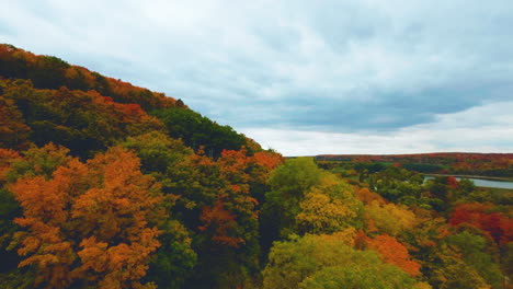 fpv aerial drone view flying over a colorful autumn woodland