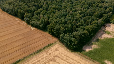 Campos-Y-Bosques-Del-Norte-De-Europa