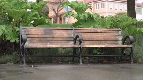Wooden-bench-in-the-park-in-a-rainy-day