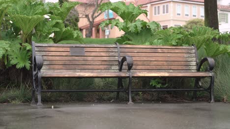 wooden bench in the park in a rainy day