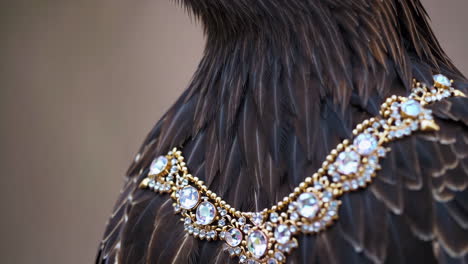eagle with a jeweled necklace