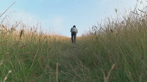 man walking in the hells field with grass and plants