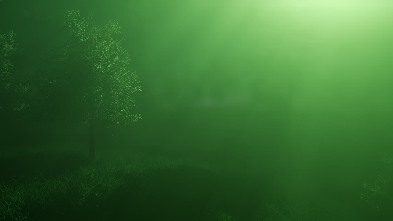 bosque mágico con chispas