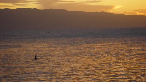 a lone surfer sits and watches the sets of waves from the pacific on north shore oahu just after sunset with orange and yellow reflections on the water