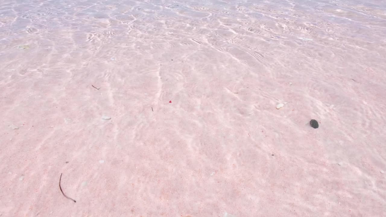 olas suaves y cristalinas que lamen la costa de arena rosa de la famosa playa rosa en la isla de komodo en flores, indonesia
