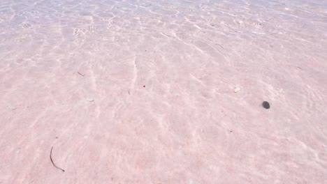 crystal clear gentle waves lapping onto pink sandy shoreline of famous pink beach on komodo island in flores, indonesia