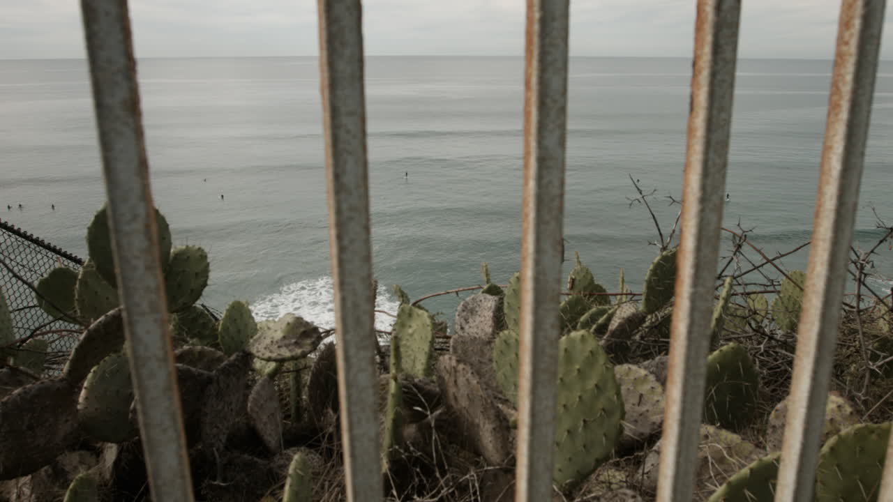 캘리포니아 주 엔시나타스 (encinitas) 의 비스타 포인트 (vista point) 에 있는 울타리를 통해 전면에 티가 있는 태평양의 서퍼들의 모습