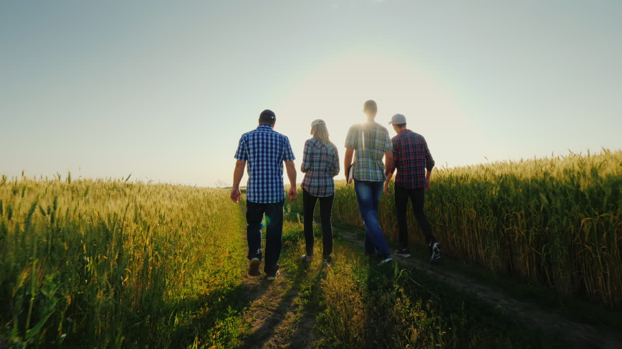 성공적인 팀과 팀 빌딩 개념을 이야기하는 밀밭을 따라 걷는 농부 그룹