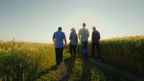 un grupo de agricultores caminando por los campos de trigo hablando de equipo exitoso y concepto de formación de equipos