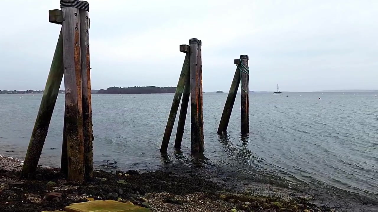 Vecchi piloni sulla Baia di Casco, Portland, Maine.