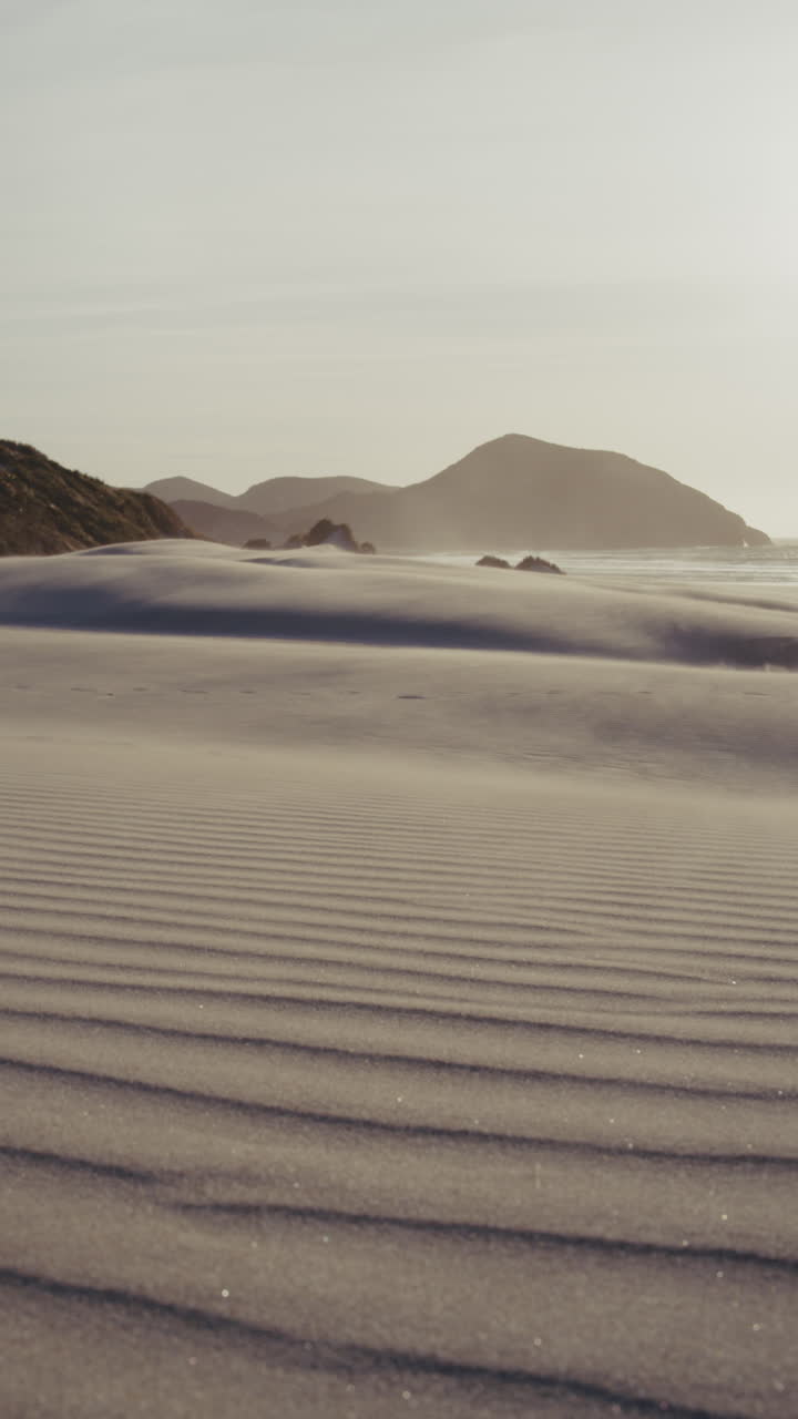 Desert Beach Landscape