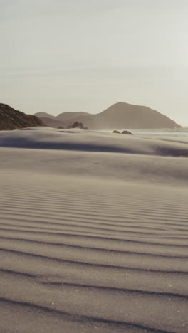 desert beach landscape