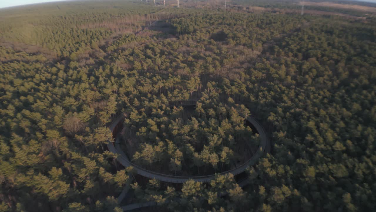 paisaje forestal sin fin con pista de carreras redonda oculta para bicicletas, vista aérea