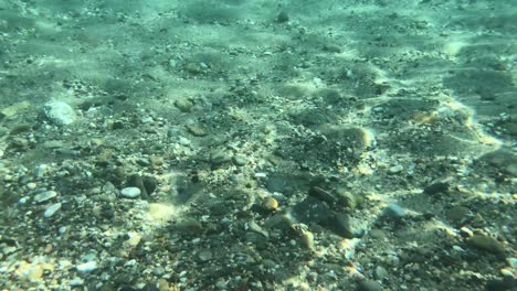 underwater sand and pebbles background