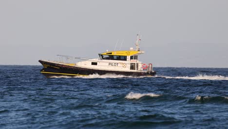 a pilot boat speeds across the ocean under clear skies, showcasing maritime navigation in bellarine, victoria, australia