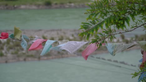 with pho chu river in the background, these prayer flags perched on the branch of a tree looks fantastic