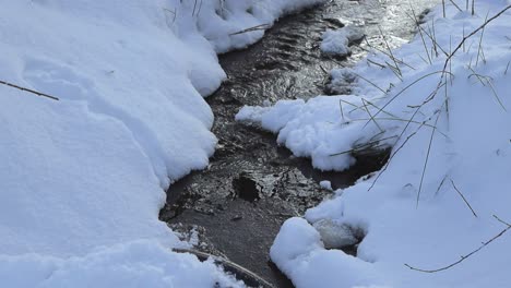 small dark brown cold water stream flowing in white fluffy snow covered nature, with light reflecting off the water. river has waves and water ripples moving in slow motion. twigs and branches visible