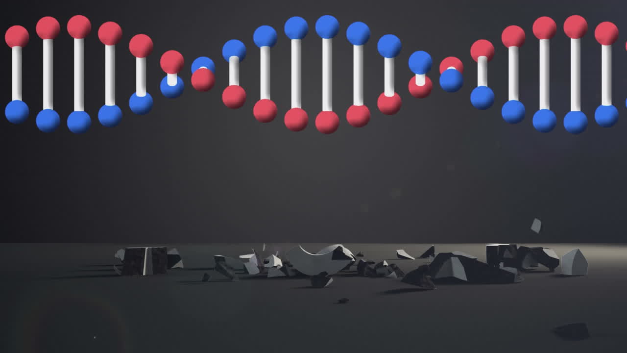 달러 통화 기호가 회전하는 dna 구조가 회색 배경에 떨어지고 부서집니다.