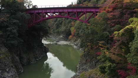 Red-bridge-crossing-Eigenji-River-in-Autumn,-Japanese-Maples-in-color