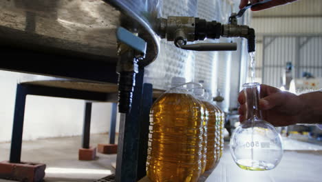 technician examining olive oil