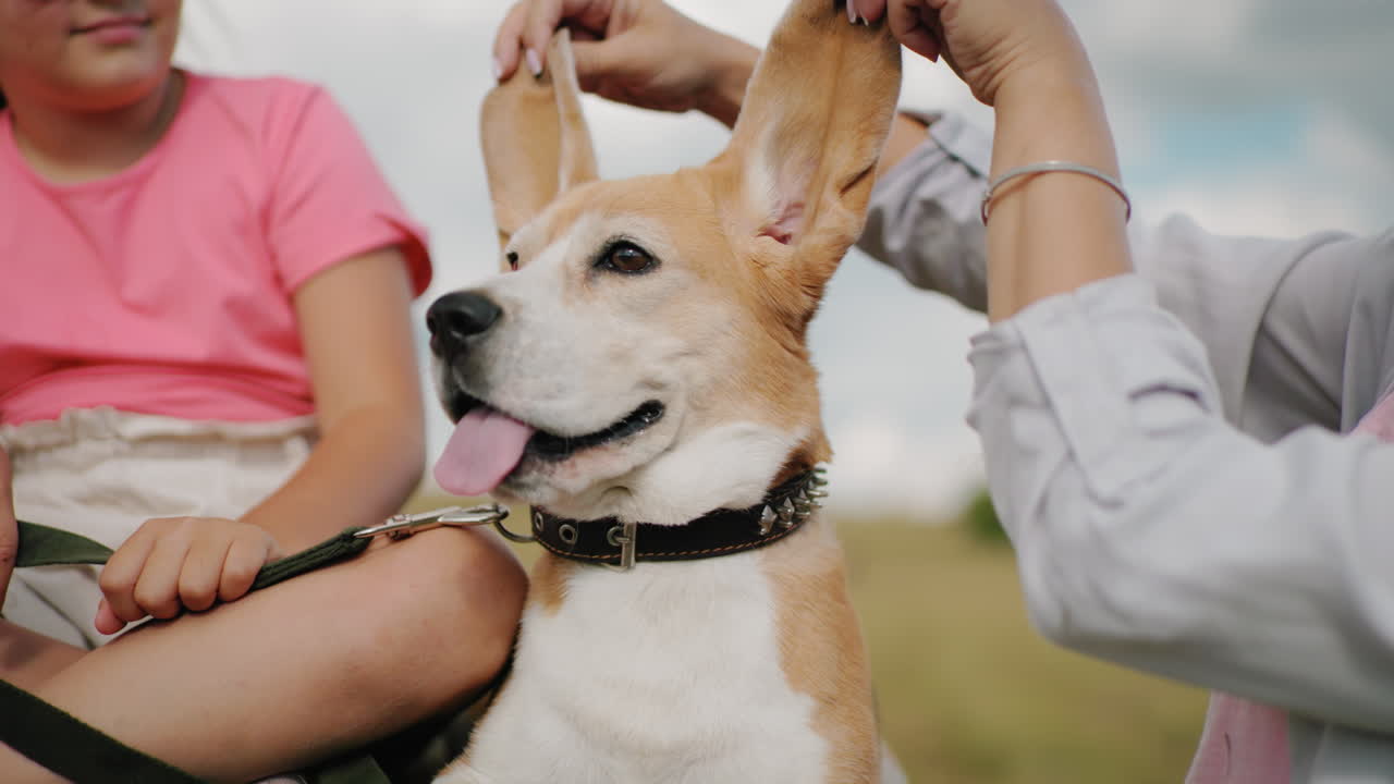웃는 여자, 분홍색 을 입은 아이가 근처에 앉아있고, 줄을 들고, 밝은 하늘 아래 야외에서 재미있는 시골 순간을 즐기고 있습니다.