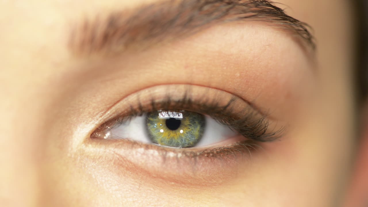 매크로 클로즈업 눈  ⁇ 박임