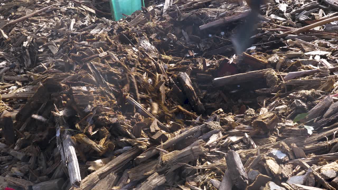 나무 심기를 준비하기 위해 뿌리 덮개를 파는 괭이의 클로즈업 샷