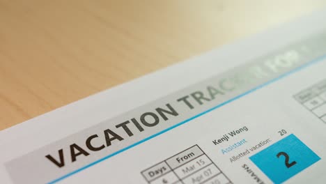 explore how to effectively manage your vacation tracking with this organized document layout.