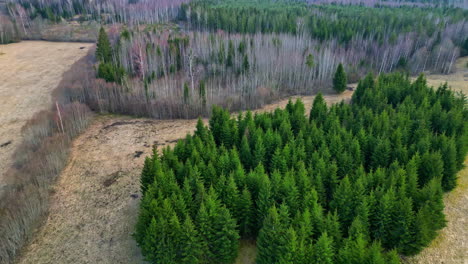 Above-View-Of-Rural-Landscape-With-Deciduous-Trees-During-Winter