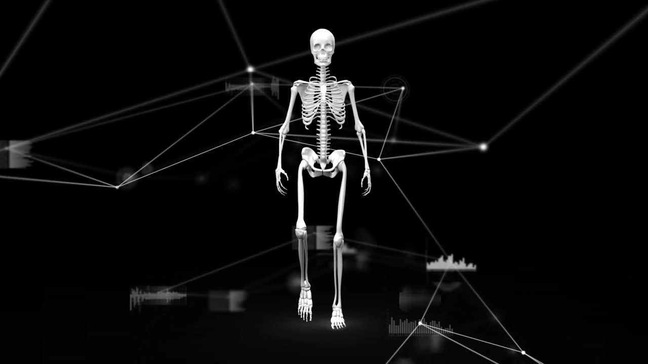 Animation af netværk af forbindelser og databehandling over menneskeskeletmodel
