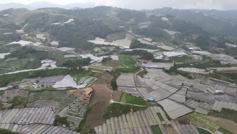 general landscape view of the brinchang district within the cameron highlands area of malaysia