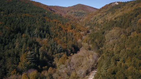 Smooth-traveling-drone-shot-above-a-forest-in-autumn,-in-the-background-a-mountain-4K-Pro-Res