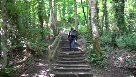 lonely hiker with backpack walking upstairs on hiking trail in dun na ri forest park ireland on sunny summer day, slow motion