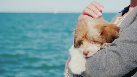 Holding-a-Puppy-by-the-Sea
